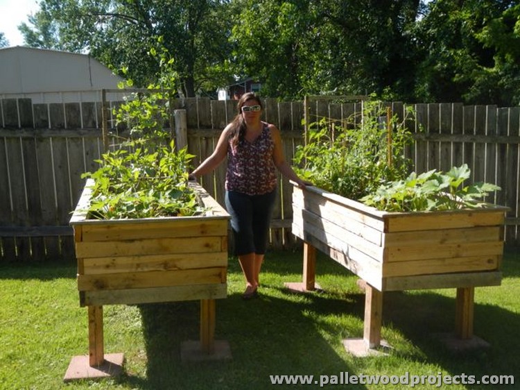 Pallet Raised Garden Beds Pallet Wood Projects